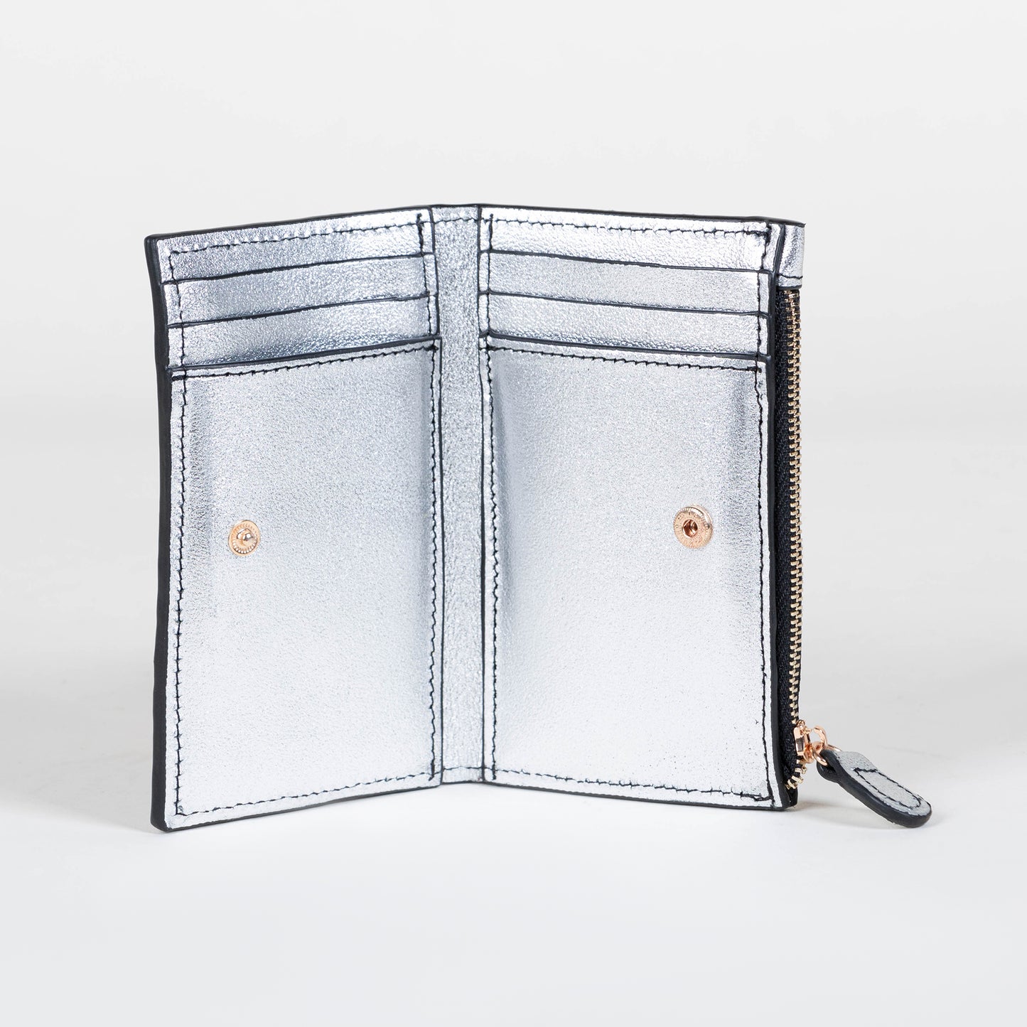 CARTERA TARJETERO PLATA