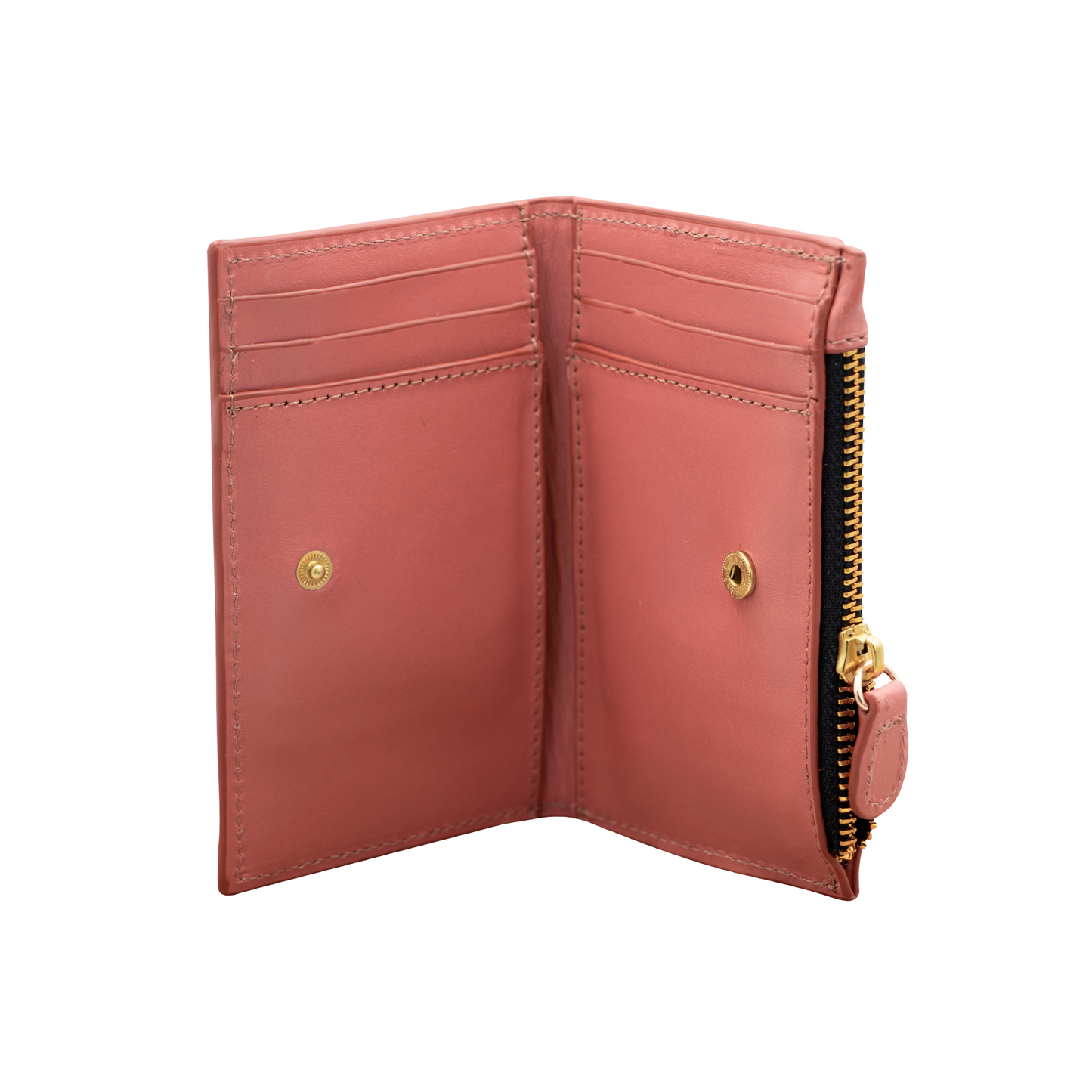 CARTERA SALMÓN