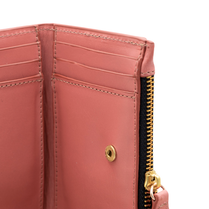 CARTERA SALMÓN