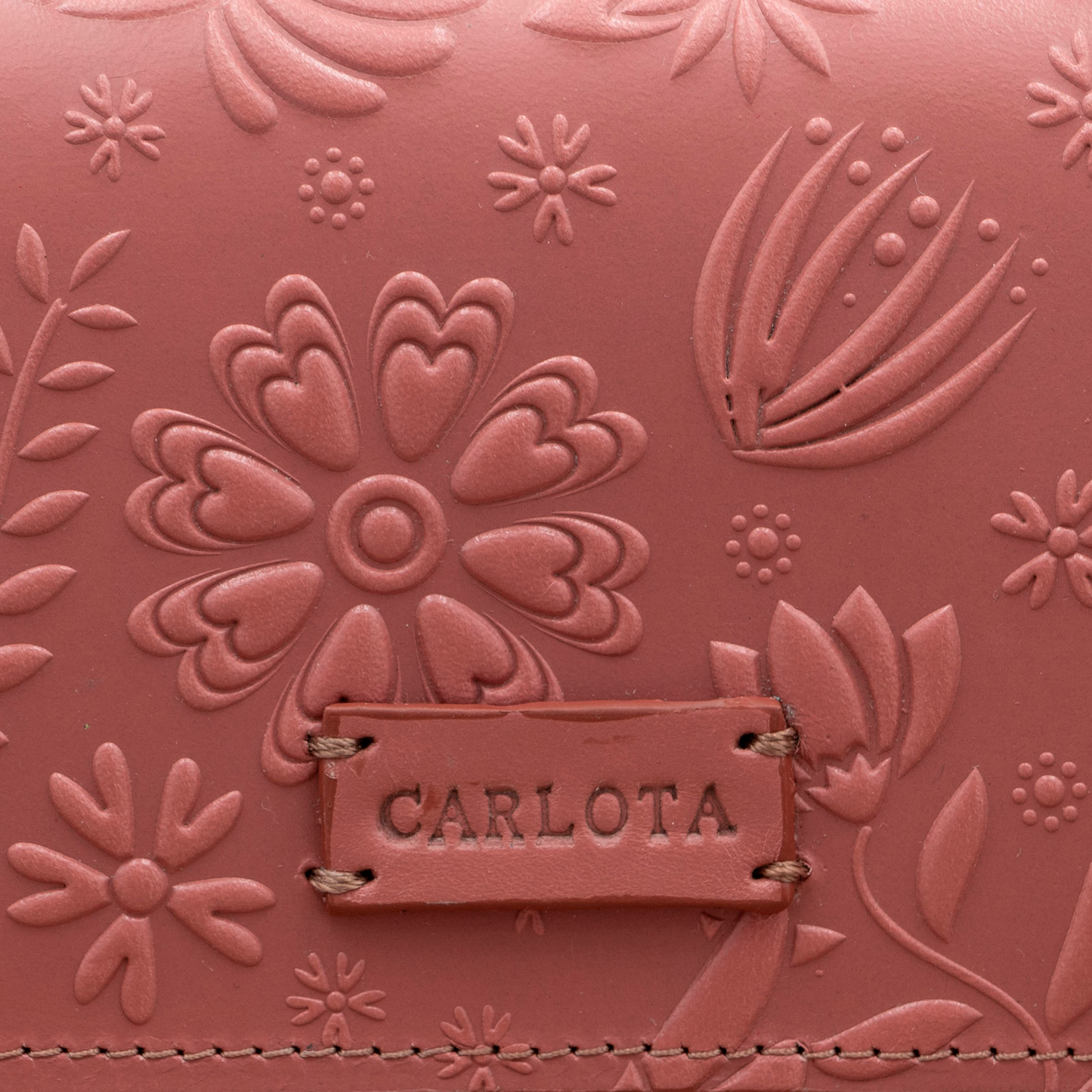 CARTERA SALMON